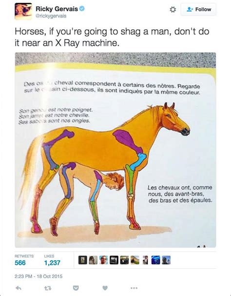 free sex horse